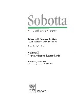 Sobotta  Atlas of Human Anatomy  Trunk, Viscera,Lower Limb Volume2 2006, page 1
